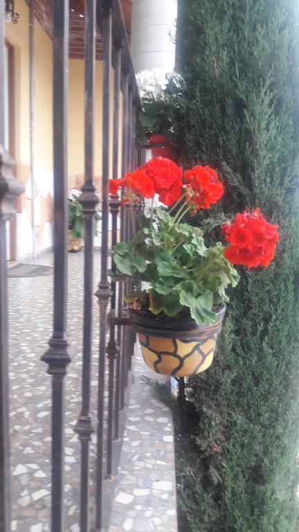 Hotel Posada El Camino ชิกาฮัวปัน ภายนอก รูปภาพ