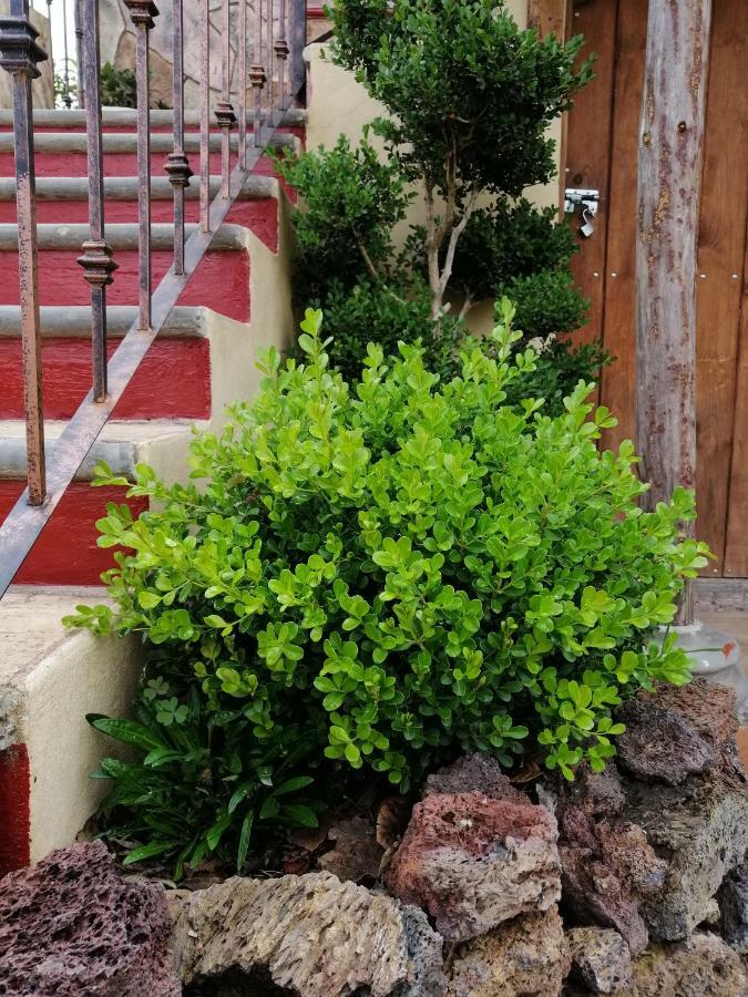 Hotel Posada El Camino ชิกาฮัวปัน ภายนอก รูปภาพ